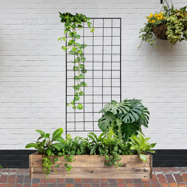 The Gridlock Garden Trellis standing against a wall with cascading vines, paired with a wooden planter box full of vibrant indoor plants.